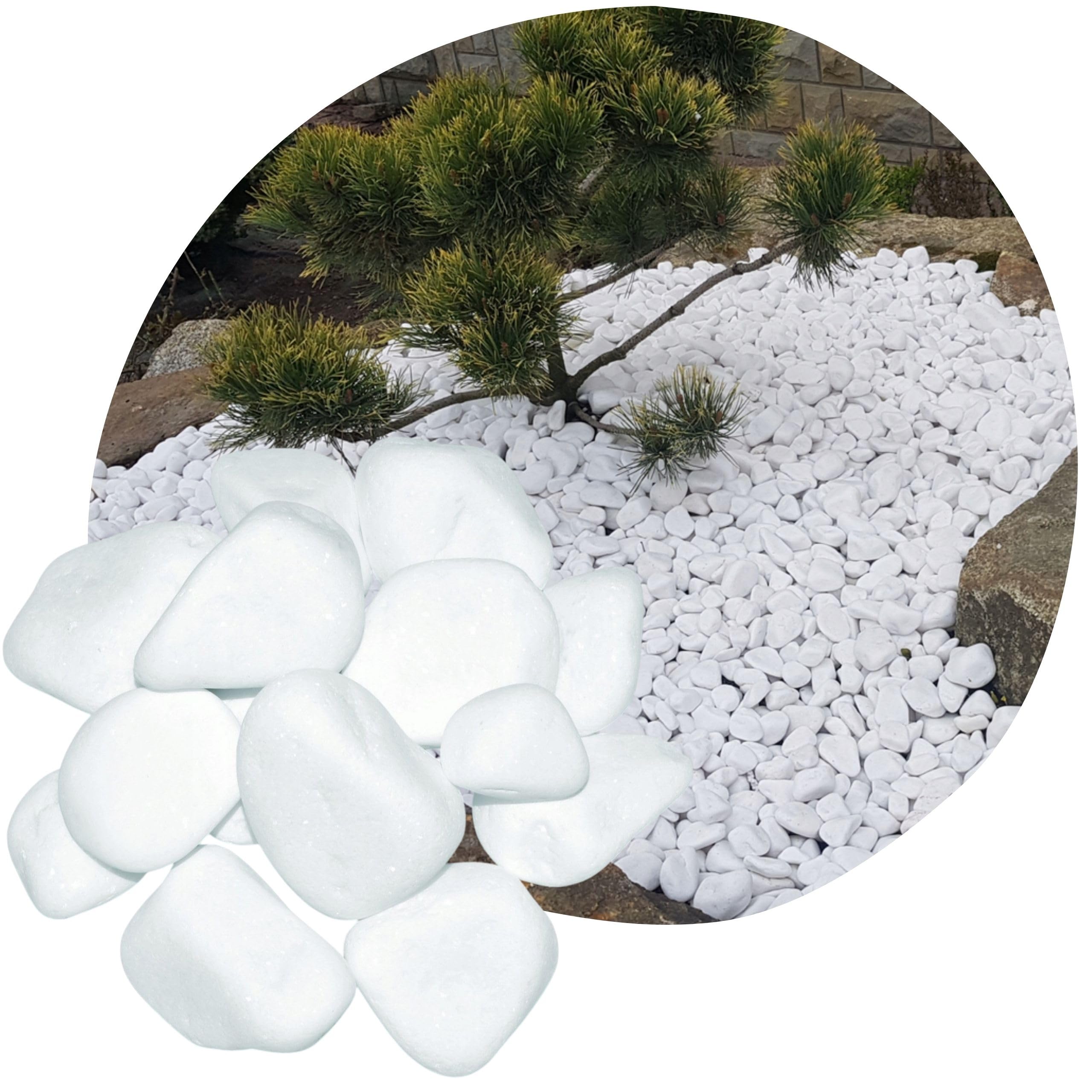 V-PREMIUM SOLUTION Weiße Kieselsteine 2 kg – Schneeweiße Dekosteine für Gartendeko, Wege, Blumentöpfe & Innenbereich – 8-13 cm – Thassos