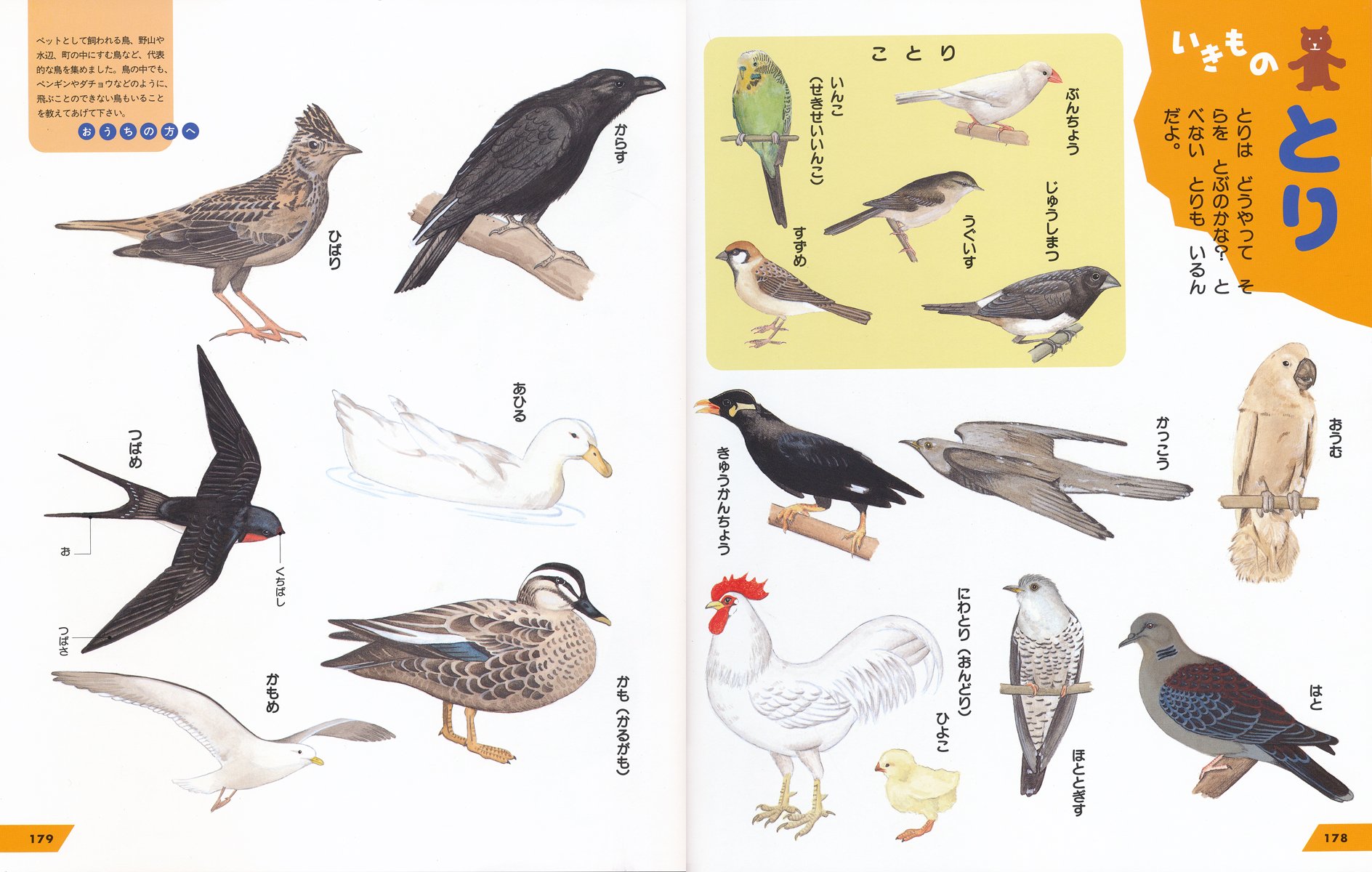 こども もののなまえ絵じてん 三省堂編修所 本 通販 Amazon