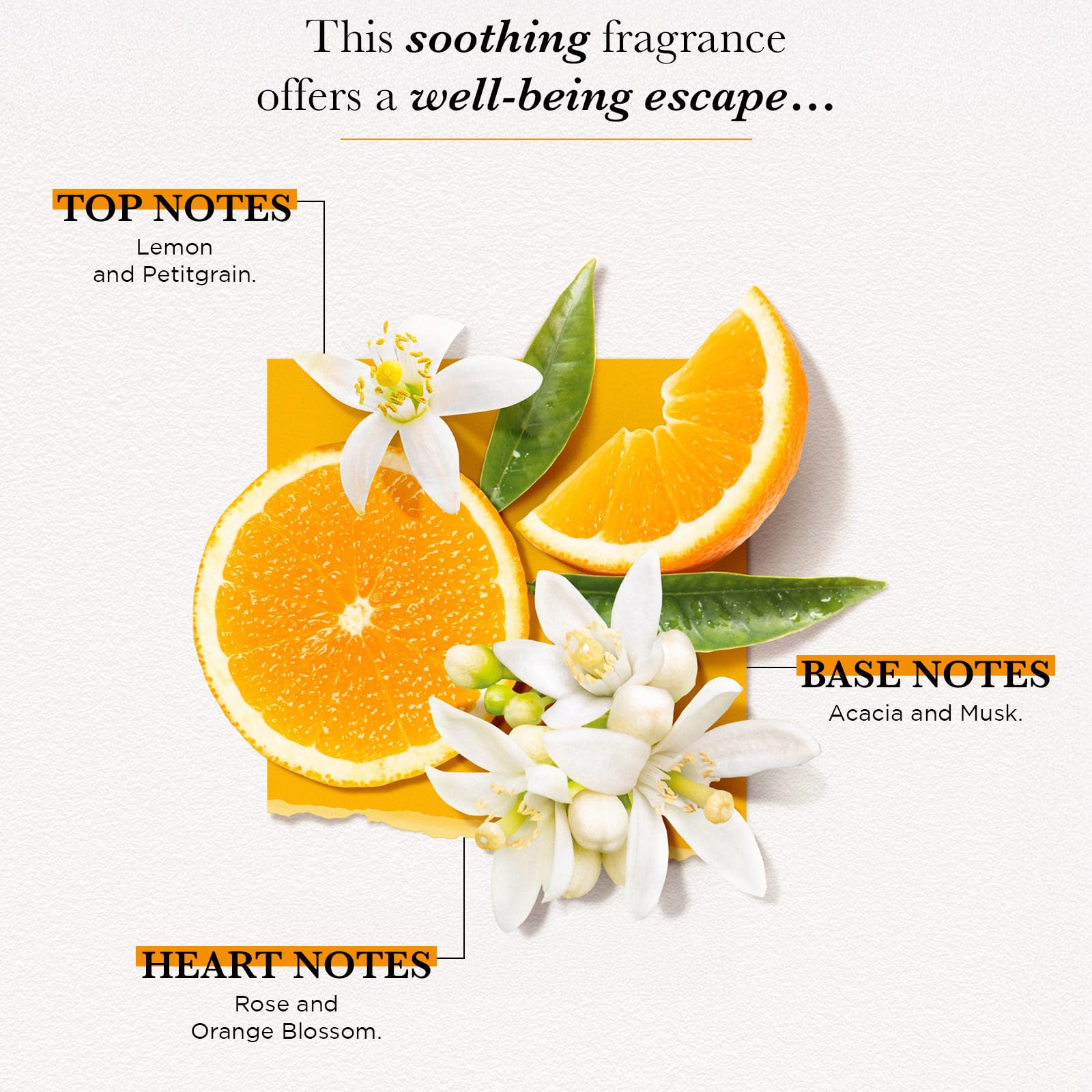 Perfumy damskie SOLINOTES Fleur d'Oranger - woda perfumowana, kwiatowy i kojący zapach, idealny prezent dla niej, 50 ml