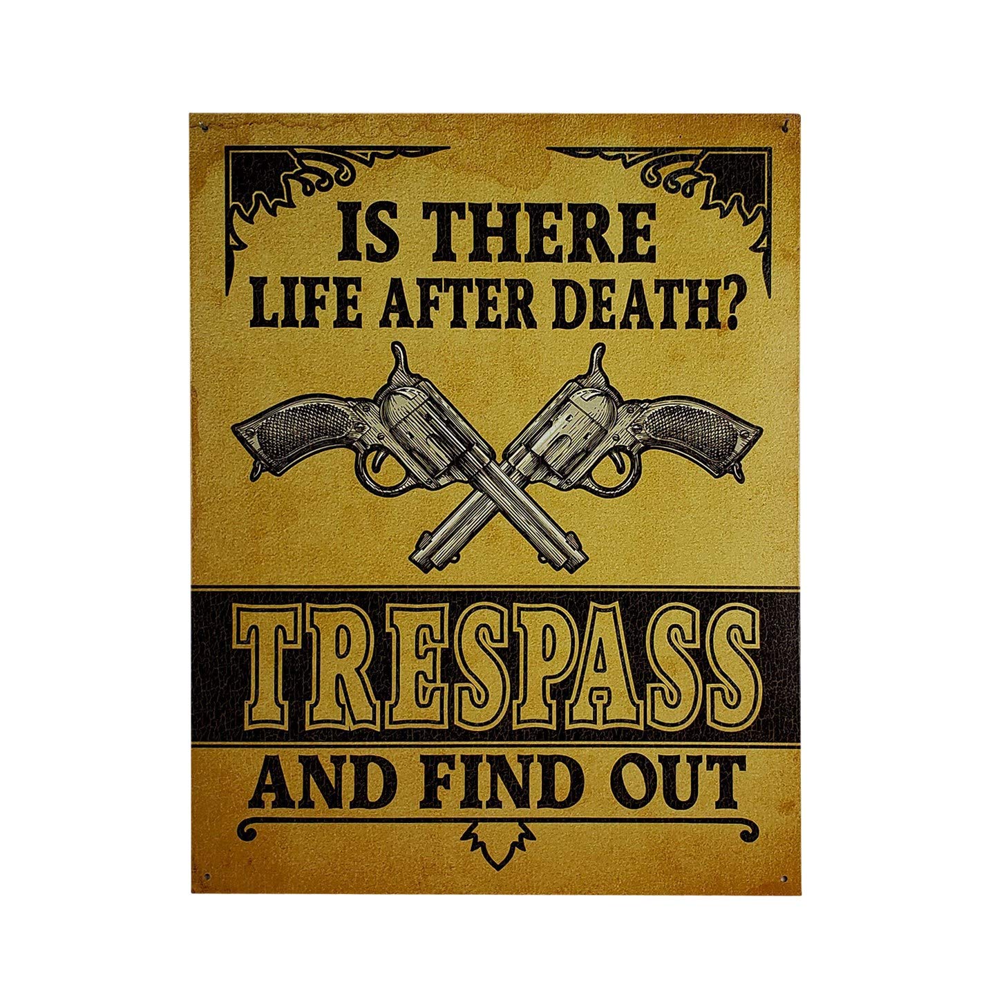 Imprints Plus Bundle Life After Death Retro Tin Sign Décor - Vintage Inspired Metal Sign Complete with Screws for Hanging to Display in Your Home Bar, Garage, or Restaurant [12.5"X16"] (DTSA-2347)