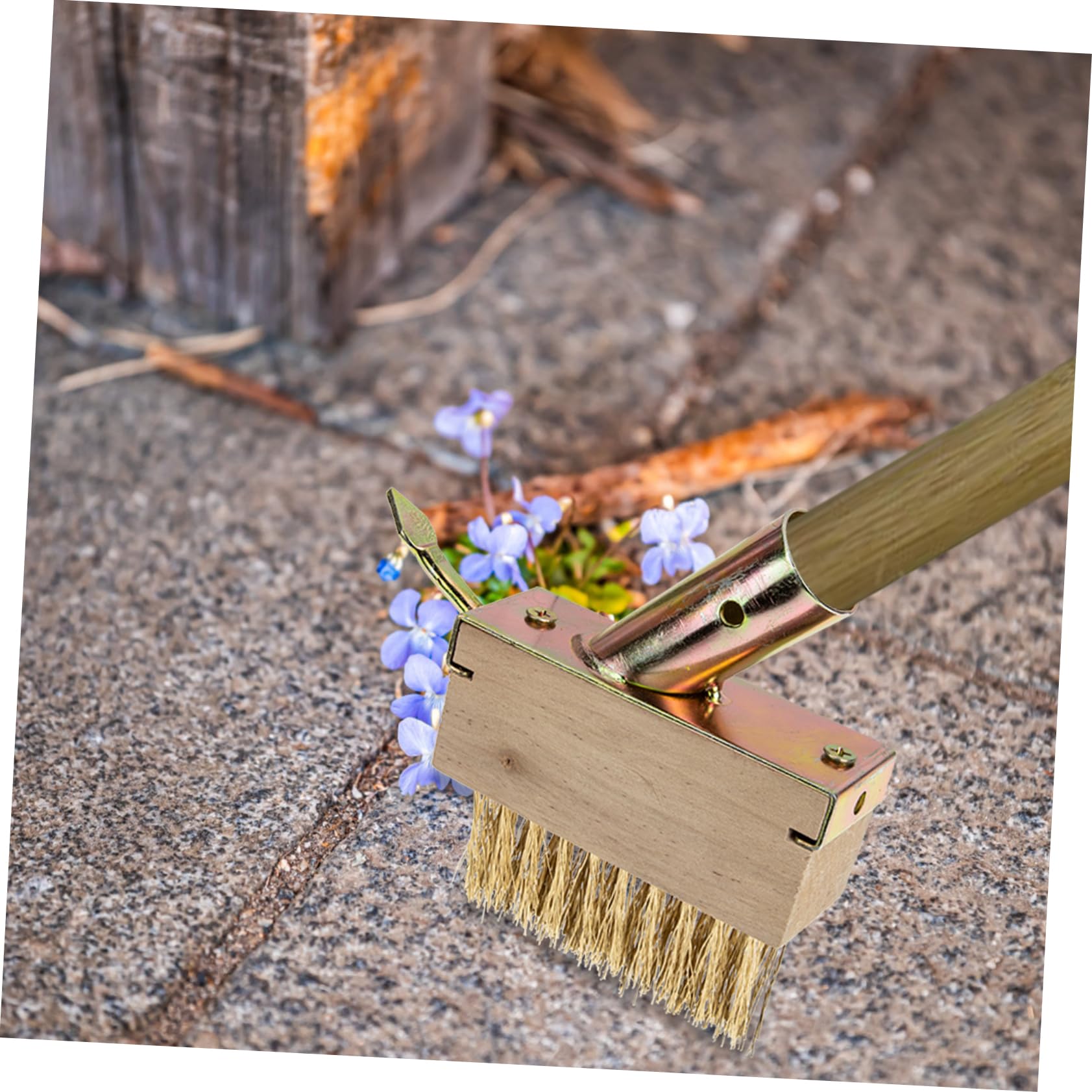 Toyvian 5 Piezas cepillo de deshierbe Eliminación quitando césped desarraigo cepillo de hierba gardening herramienta de grietas cepillo para juntas de pavimento acero Khaki