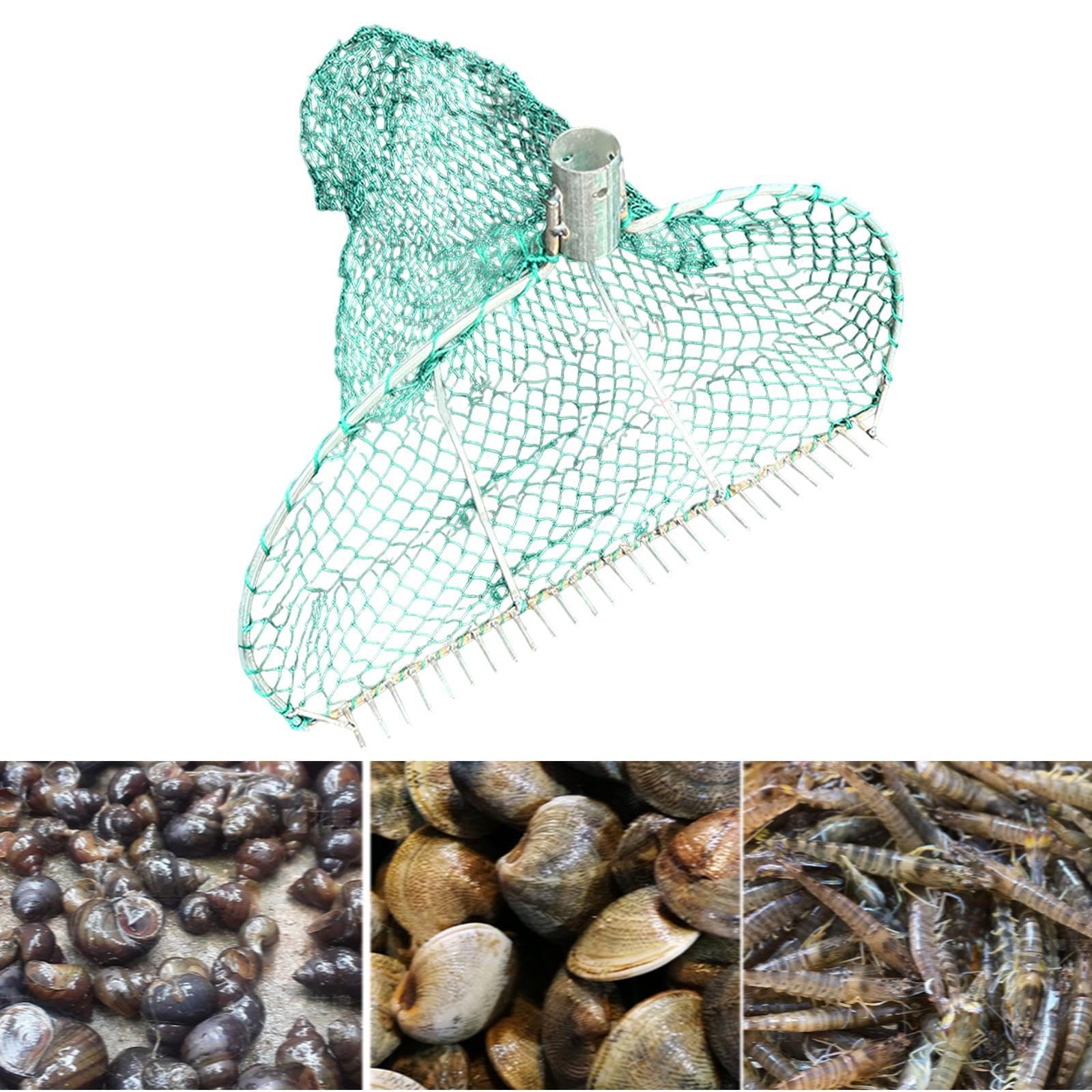 Rastrello per Vongole, Retino per Telline, Attrezzo per Scavare Vongole, Rastrello a Artiglio con Cesto, Rastrello Mezza Luna Rete Pesca Arselaio Granchi Telline Cozze Cannolicchi, Type B