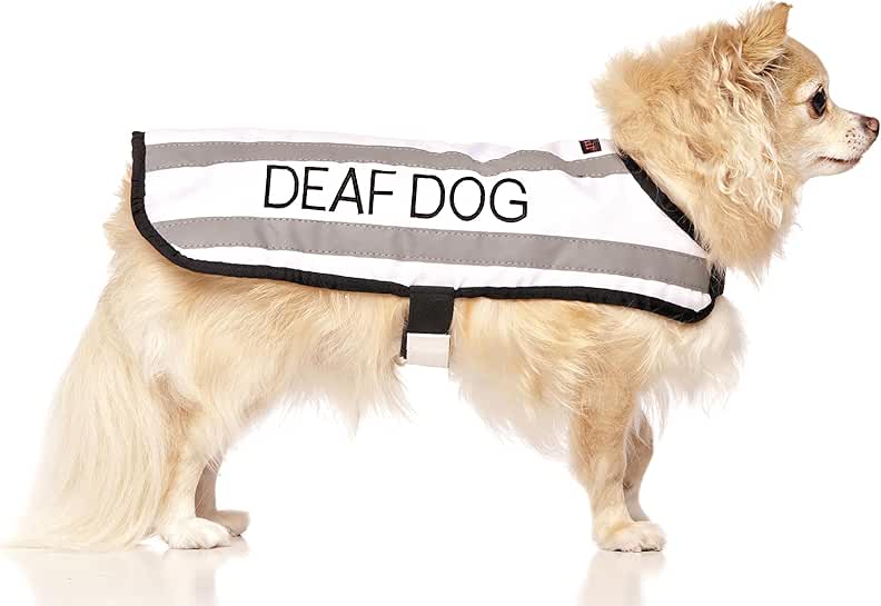 dog hearing aid