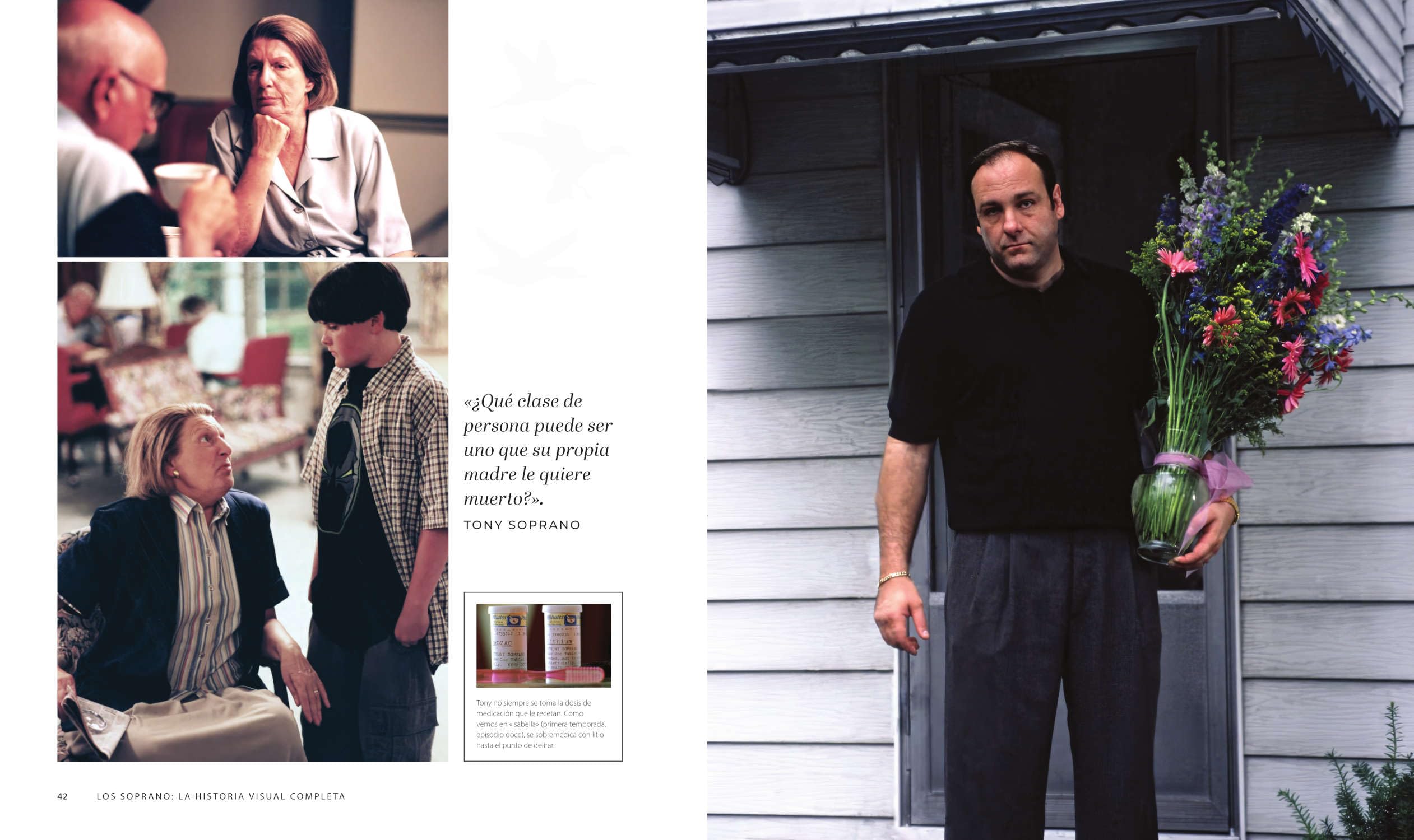 LOS SOPRANO: LA HISTORIA VISUAL COMPLETA (COMIC AMERICANO)