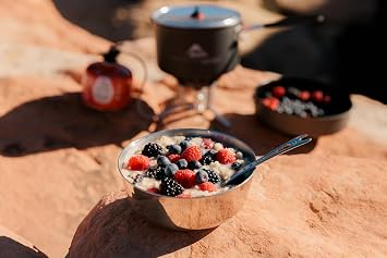 MSR Alpine Stainless Nesting Bowl، Silver