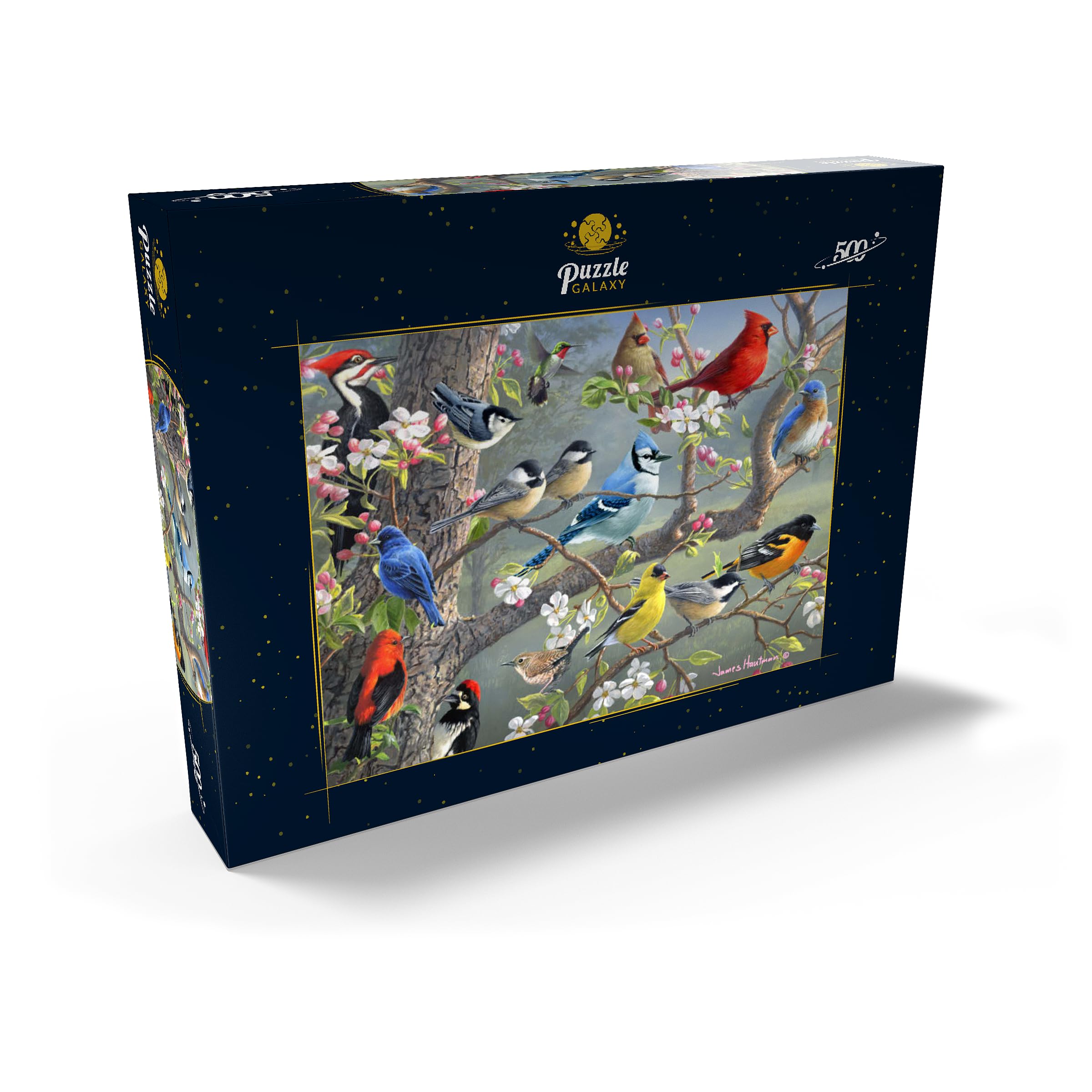 MyPuzzle Puzzle Galaxy 500 Pezzi – "Uccelli Con Foglie E Fiori Tropicali" – Premium, Carta FSC, Punzonatura Precisa, 48x34 Cm