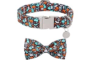 Halloween Dog Bow Tie Collar: Spook-tacular Style for Your Furry Friend