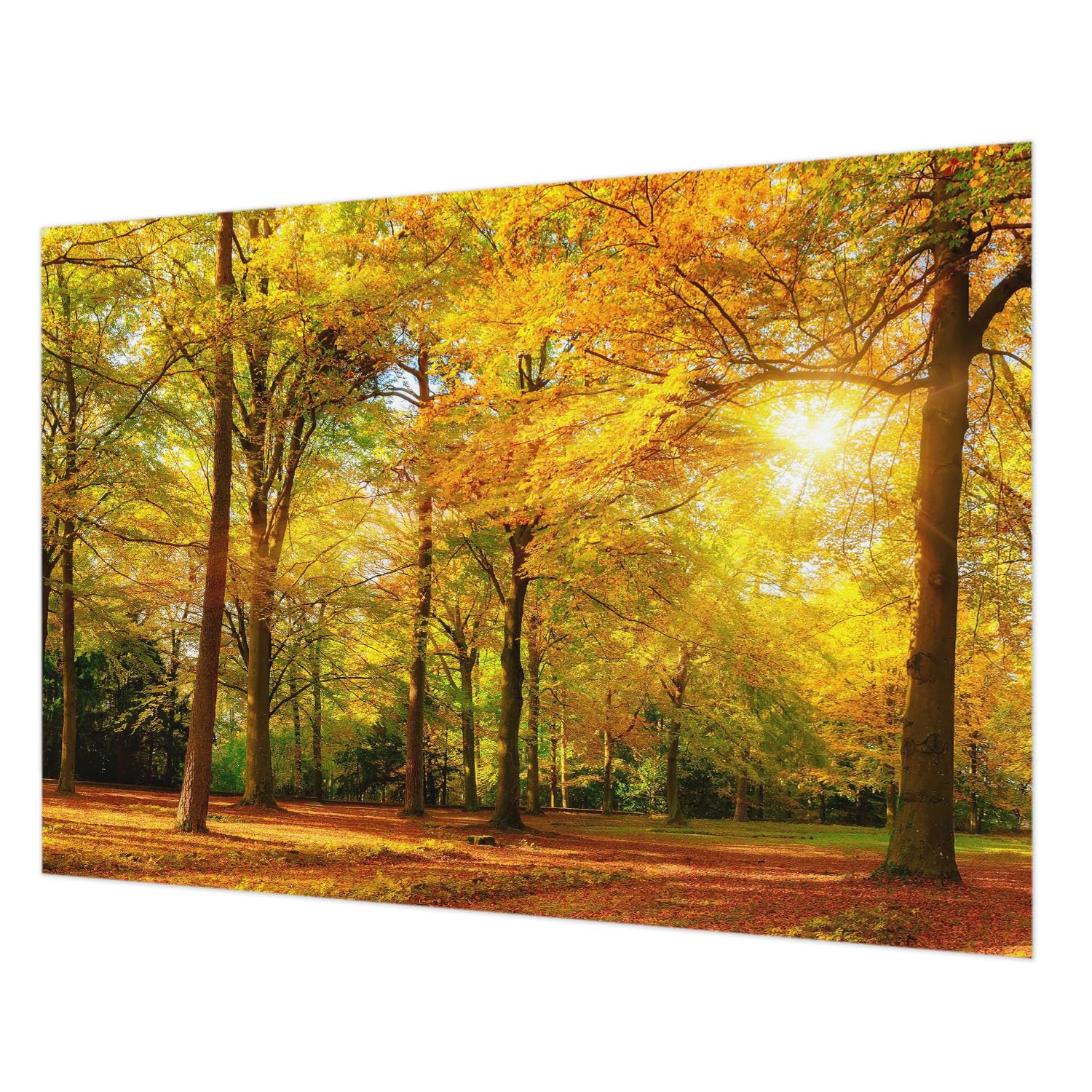 Papier peint intissé feuilles dorées colle incluse pour rénover salon et chambre