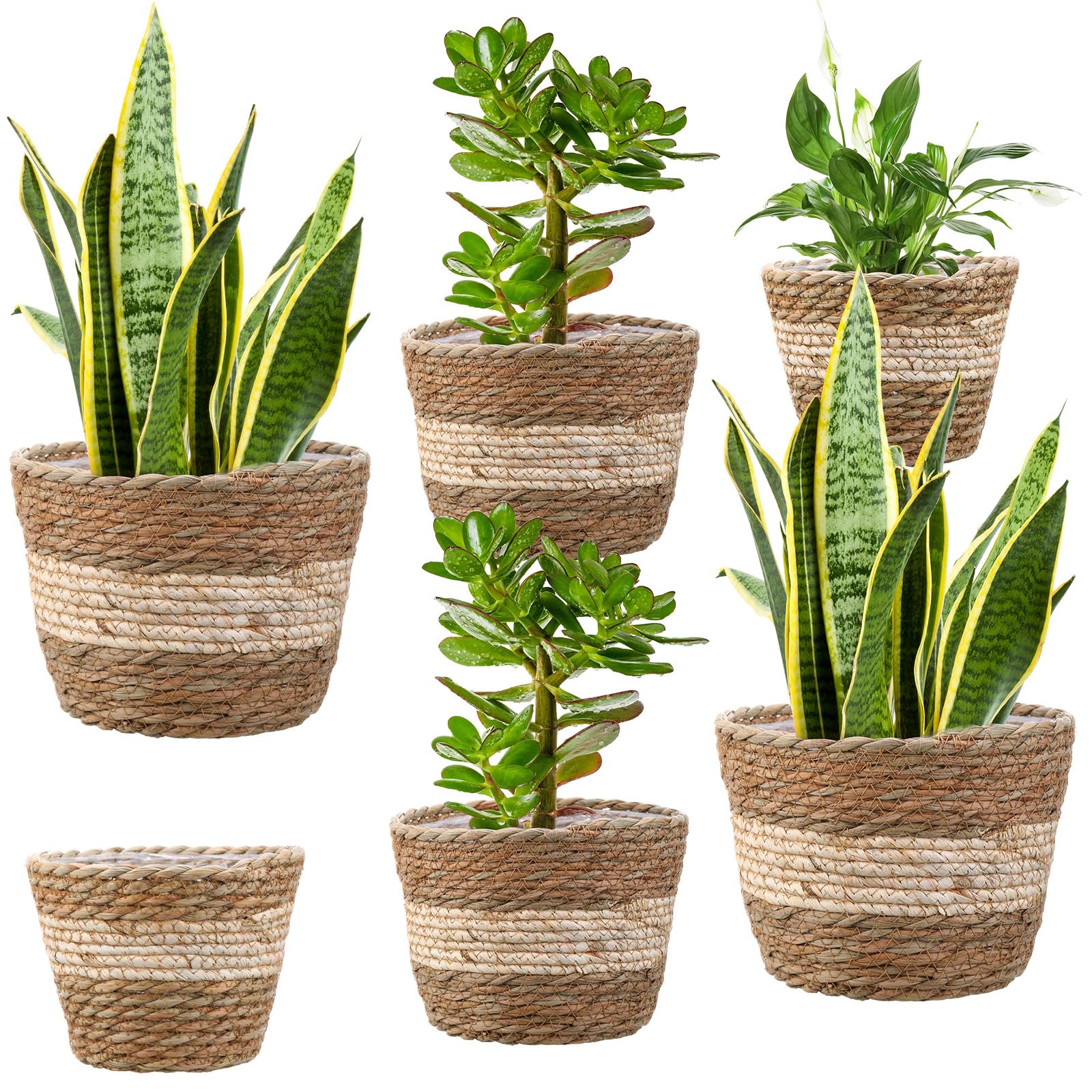 Panier de fleurs en jonc de mer étanche pour éviter les fuites d'eau de vos plantes