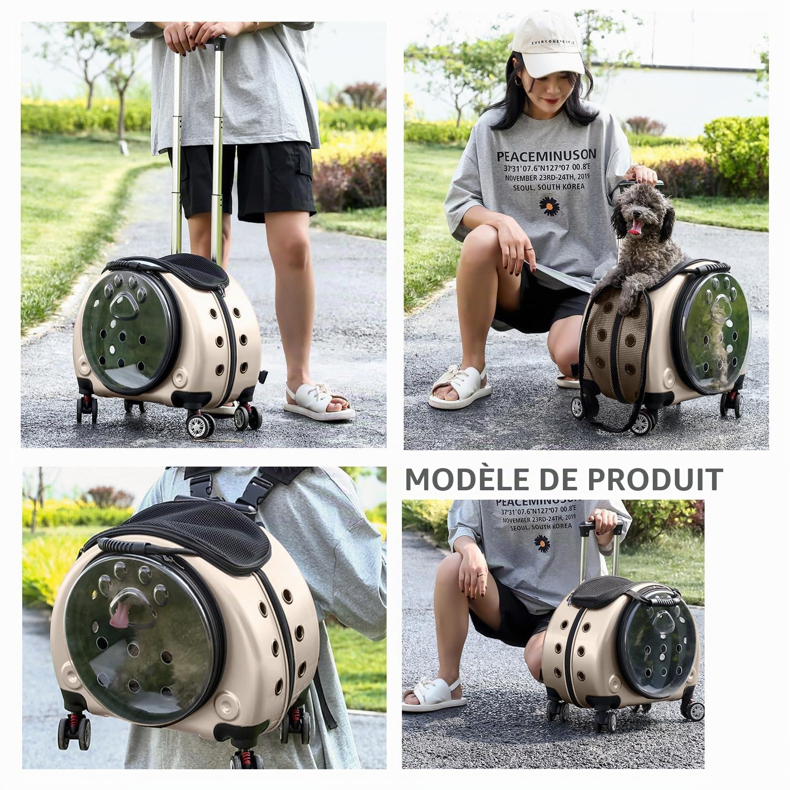 PETCUTE Sac à Dos pour Chat Chien avec roulettes,Bien Ventilé Sac de Transport Chats avec Poignée Télescopique,Pliable Sac à Dos pour Animaux de Compagnie avec Tapis Amovible,idéal pour Voyager
