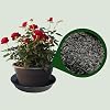 Pure Activated Biochar - Premium Organic Soil Amendment for Enhanced Plant Growth, Soil Health, Terrariums - Natural Carbon-Rich Additive for Sustainable Gardening and Eco-Friendly Agriculture (2L)