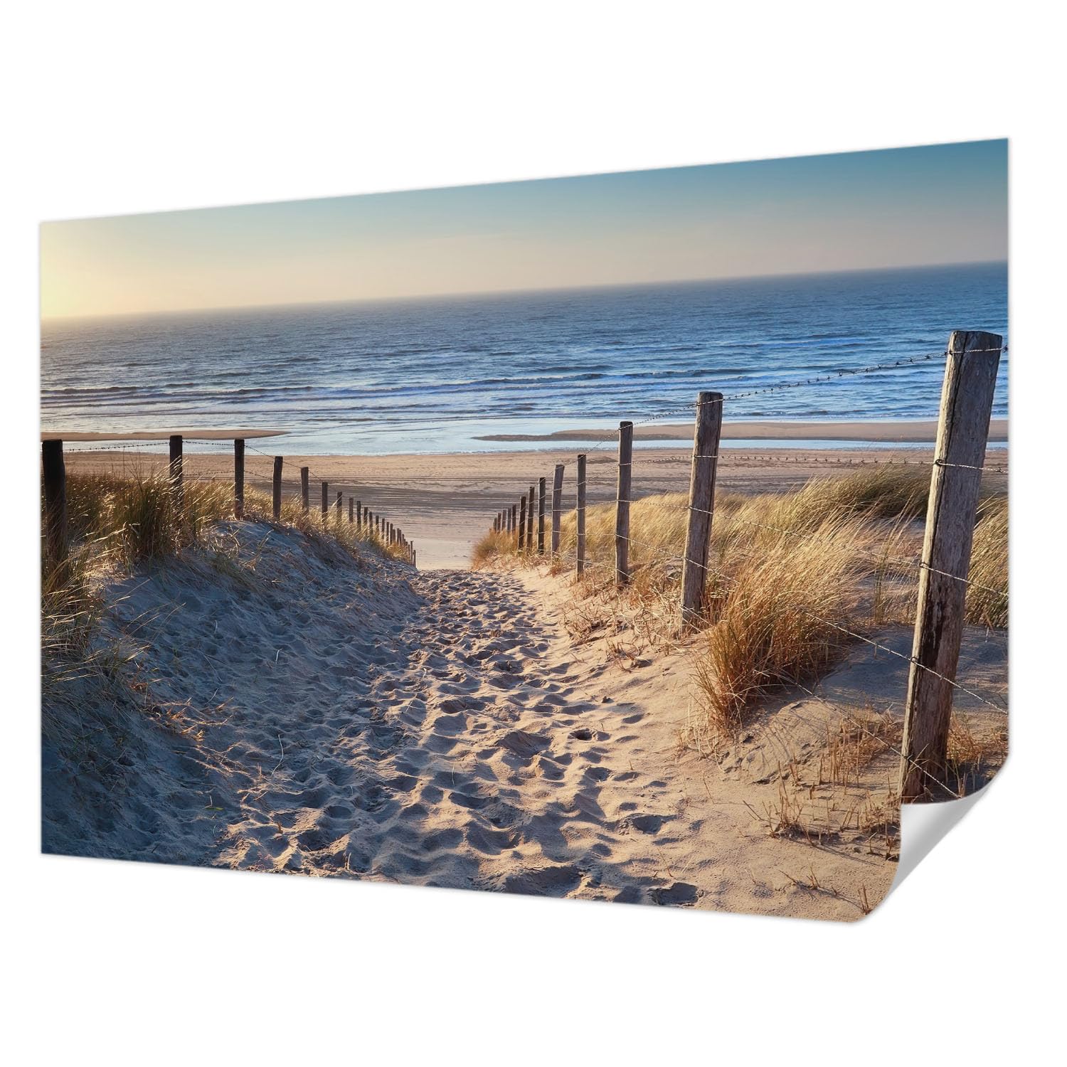 Décor mural adhésif chemin de plage panoramique 208x146 cm Tulup