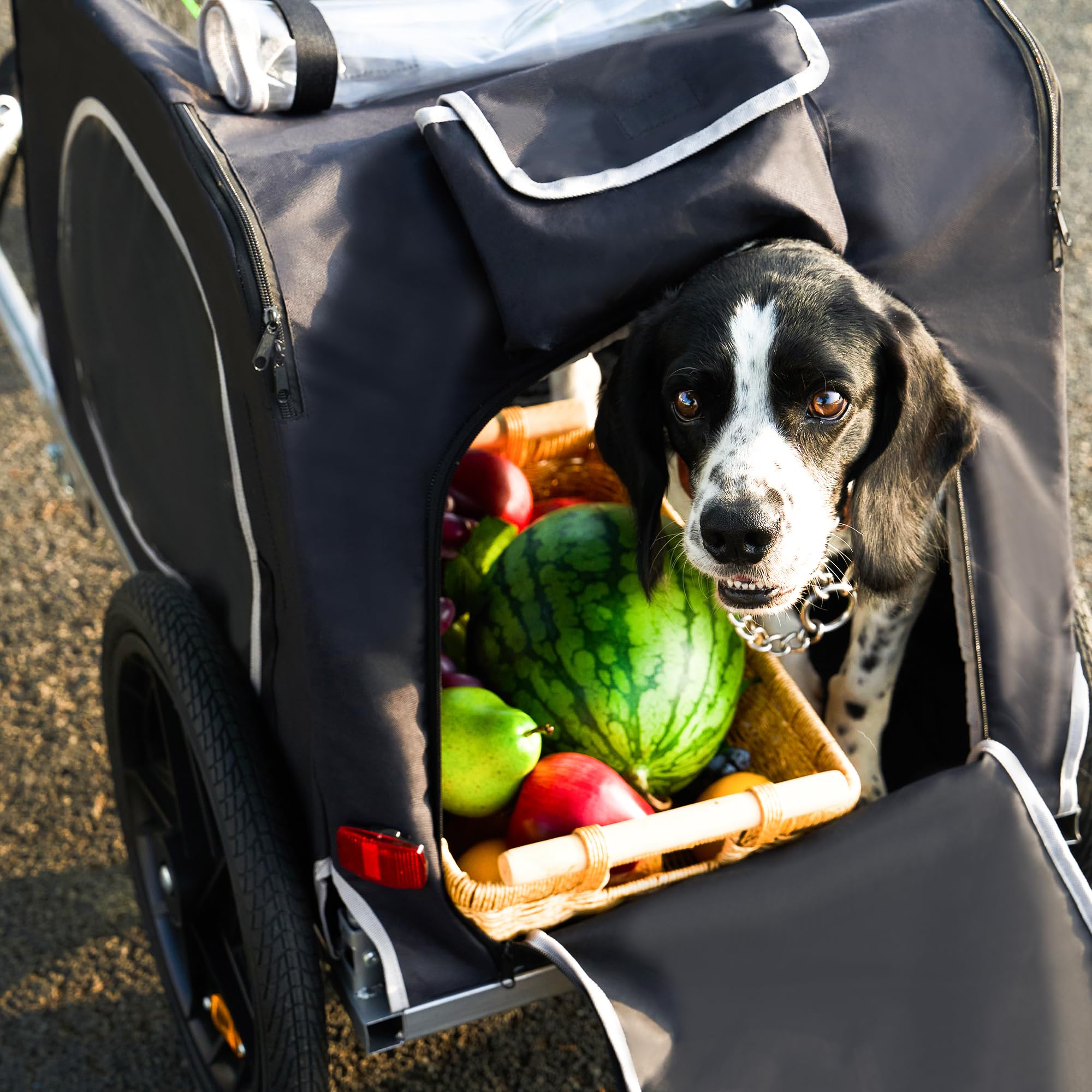 soges Remorque de Vélo pour Chien Pliable jusqu'à 40 kg en Oxford 600D, Remorque de Vélo Dog Bicycle Trailer Chariot Noir pour Chien avec Laisse Interne, Réflecteurs de Sécurité