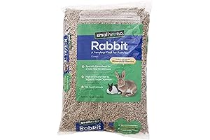 Essential Rabbit Food: Providing Complete Nutrition To All Bunnies
