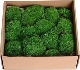 1.5sq. Ft Preserved Moss Pole Moss Pillow Moss Colored Decorative Moss for Moss Crafts, Art DIY, Wall Decor (Dark Green)