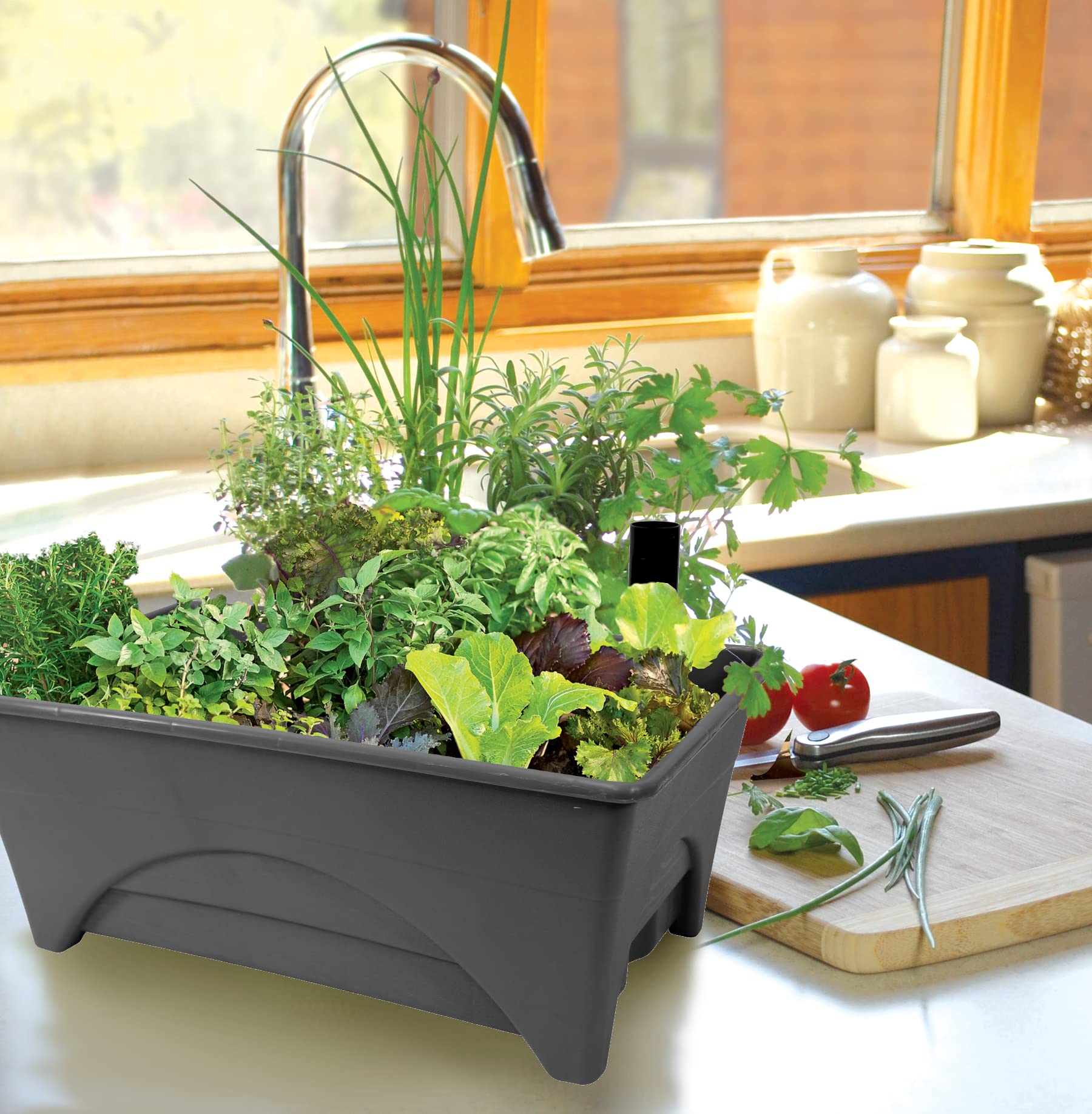Emsco Group Start Pickin Grow Box