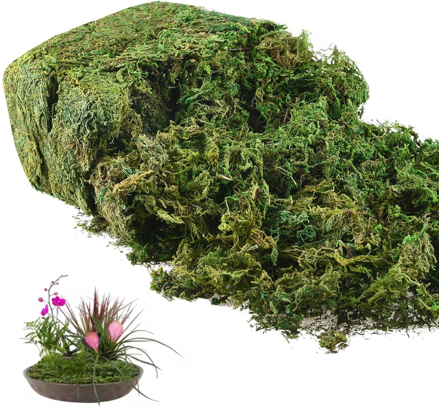 Musgo Artificial Riare Premium - 1,2kg Para Decoração De Plantas E Terrários