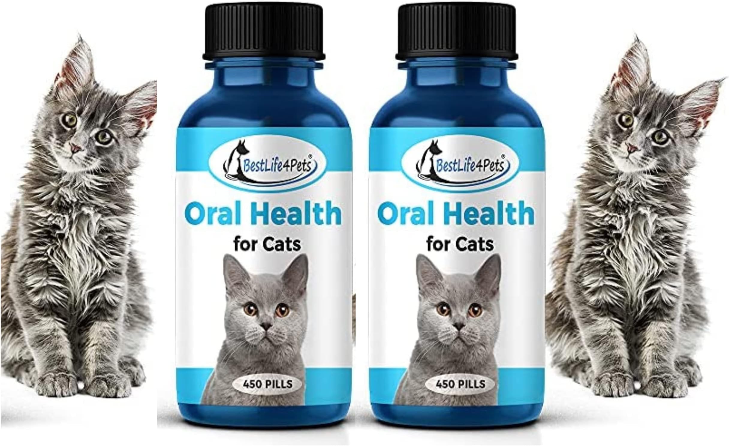 BestLife4Pets Oral Health for Cats Cat Dental Care