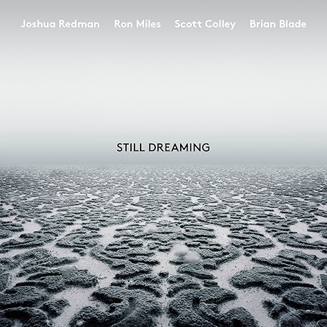 New Year (feat. Ron Miles, Scott Colley & Brian Blade)