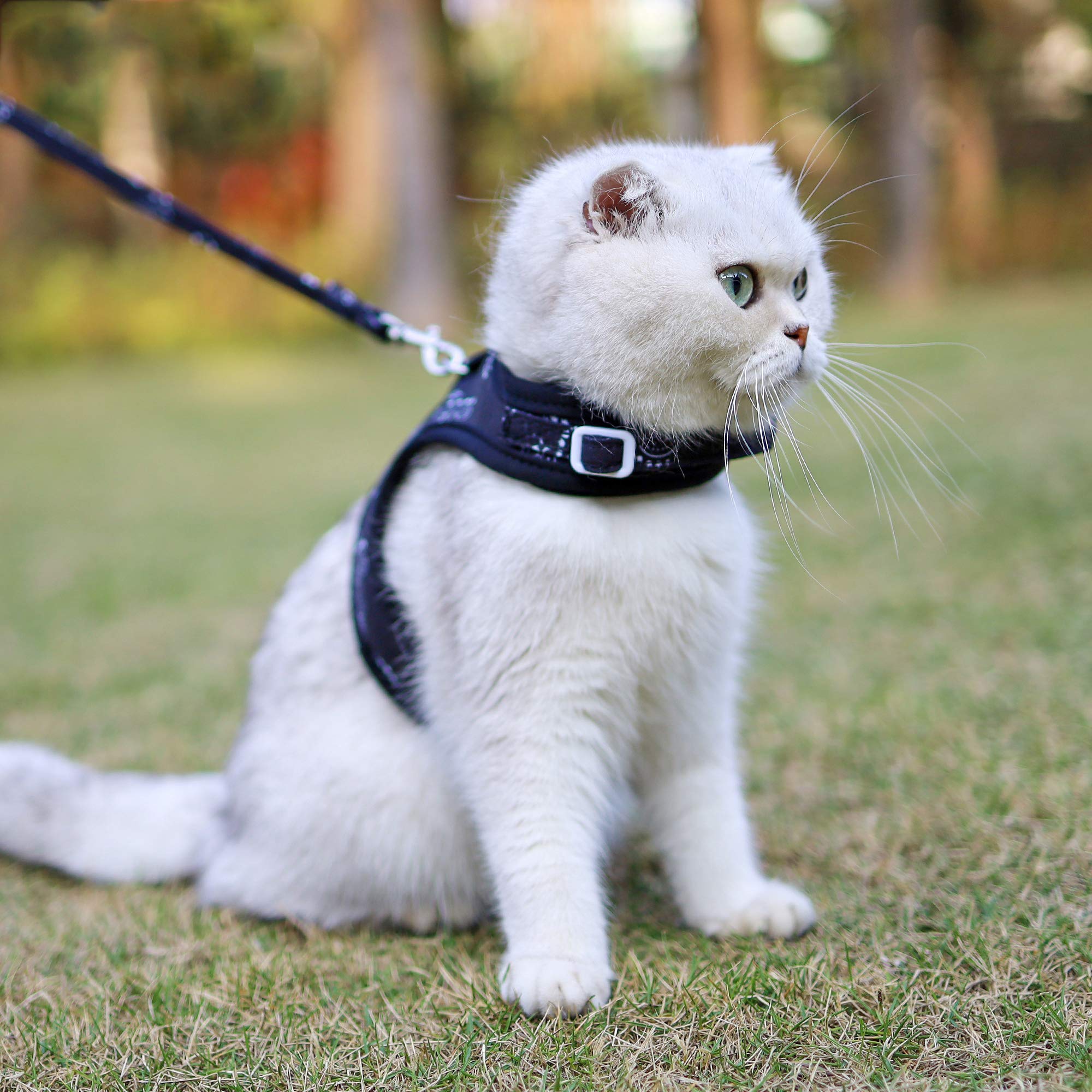 PURRL Katzengeschirr und Leine zum Laufen, verstellbares Laufgeschirr für Katzen, Leine-Set, Step-in-Outdoor-Weste, einfache Steuerung Little Surprise