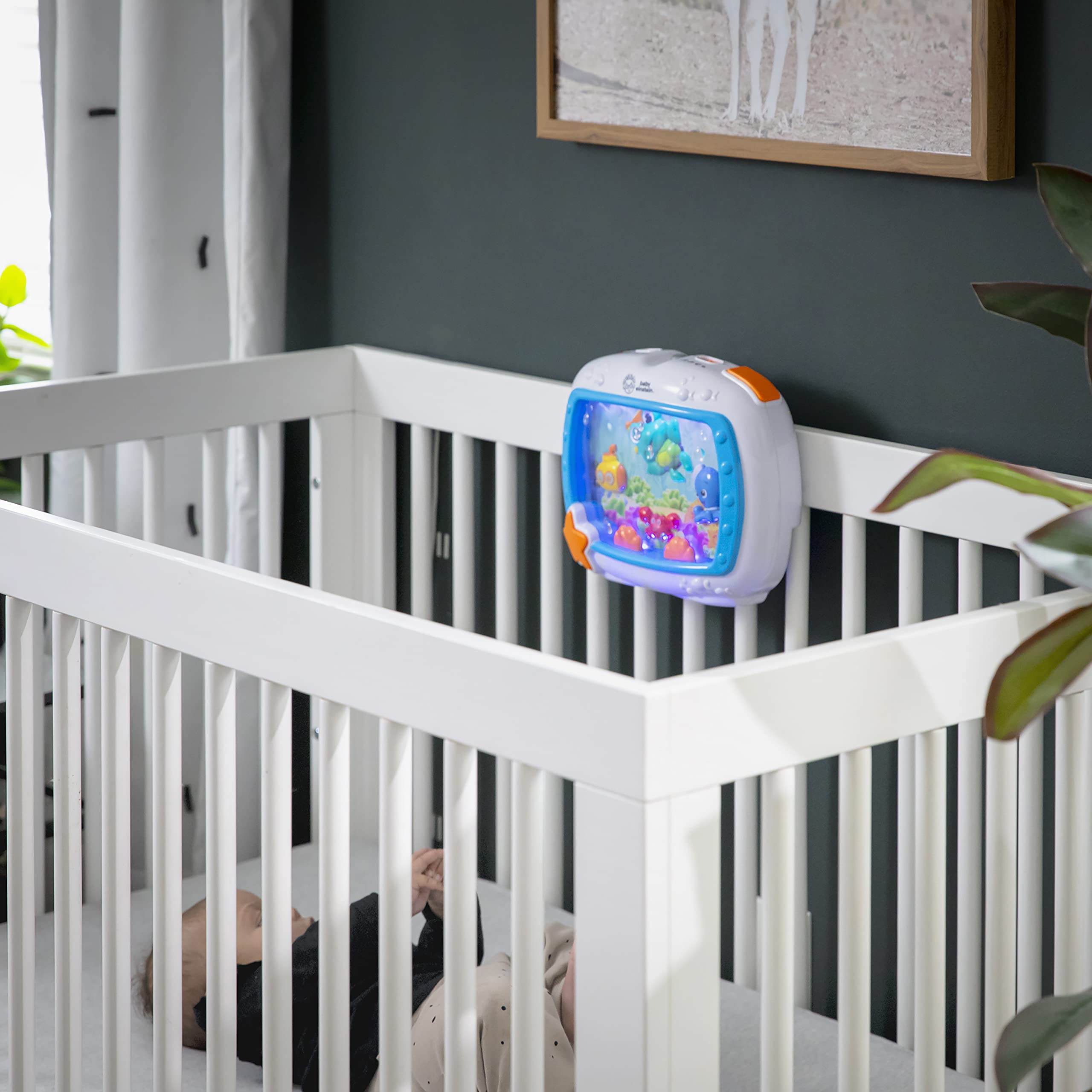 Baby Einstein Sea Dreams - Ciuccio giocattolo per culla