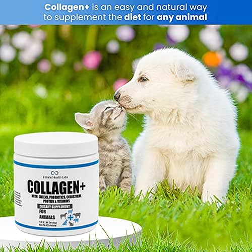 Miniatura 5 de Collagen Ultimate - Decoración de alimentos para perros o gatos con enzimas probióticos verdes calostro glucosamina omegas apoya las articulaciones