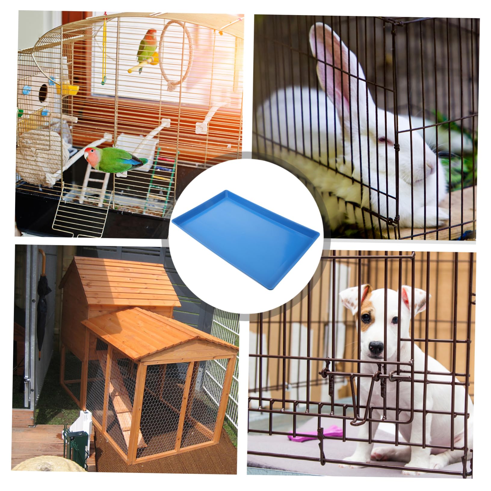 Porta Traversina per Cestino Animali Domestici in Plastica Blu, Progettato per Gabbie e Cage Cani, Facile da Pulire e Adatto a Diverse Toilette per Animali