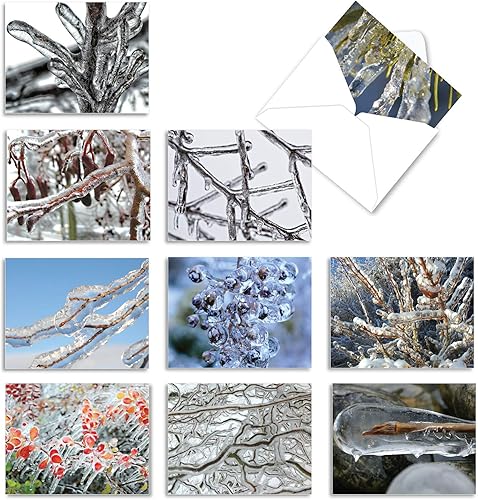 The Best Card Company - 10 tarjetas de notas para todas las ocasiones a granel 4 x 512 pulgadas - Juego de tarjetas surtidas en blanco plantas