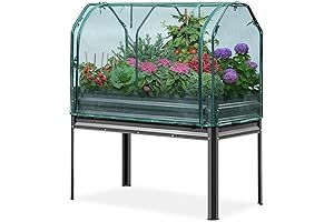 Kingbird Raised Garden Bed: Grow Your Own Green Oasis