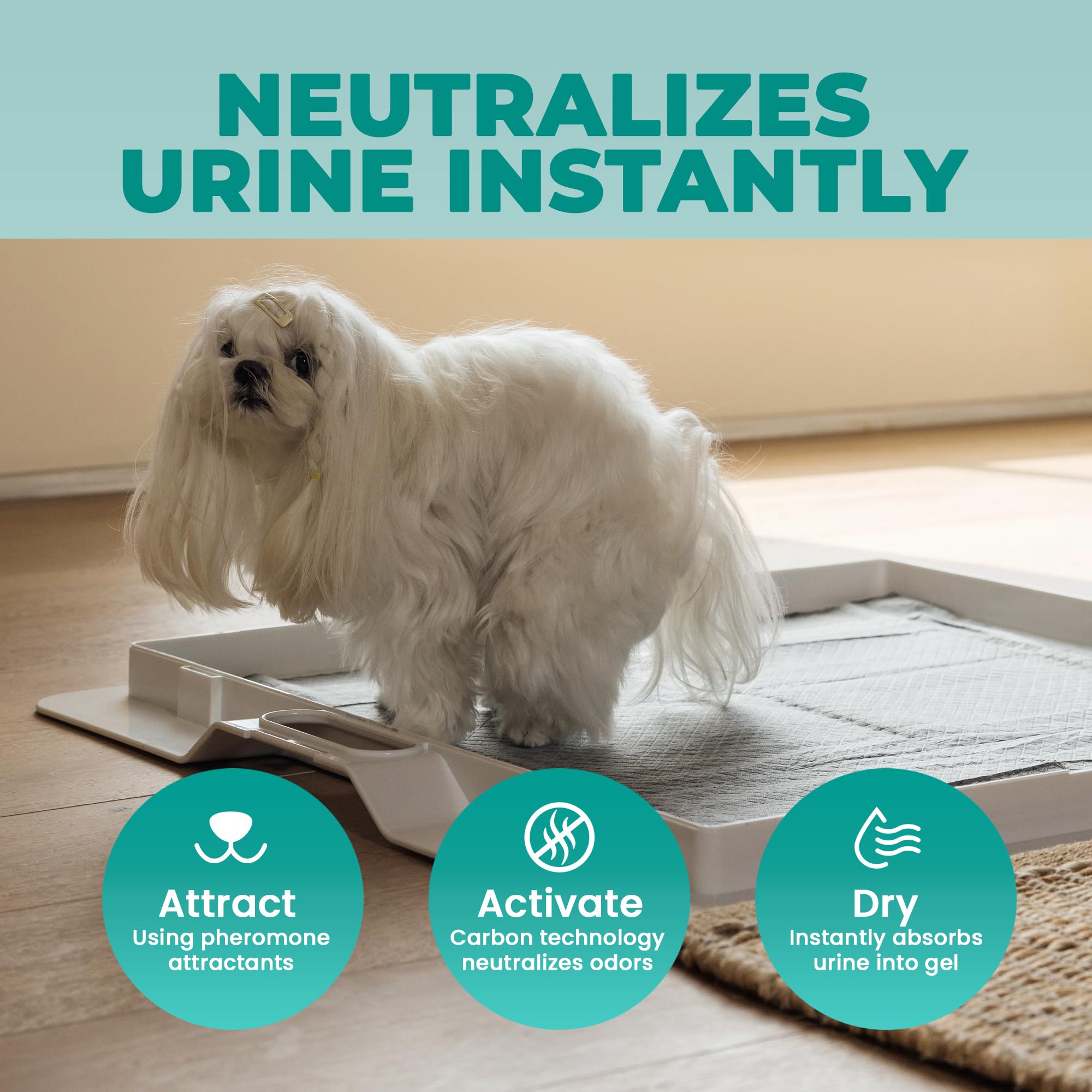 KindTail Almohadillas de entrenamiento para perros de 24 x 24 pulgadas, a prueba de fugas y absorbentes con respaldo adhesivo, almohadillas de carbón desechables y filtrantes de olores para