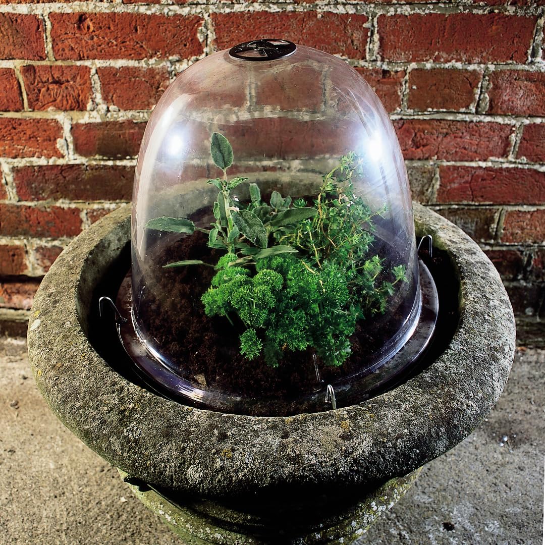 Haxnicks TIERRA GARDEN Lot de 3 Cloches de Jardin Transparentes Original 34 x 26 cm