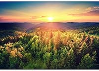 Vista 2 de SIGNWIN Mural de pared Bosque autoadhesivo extraíble para decoración de pared de dormitorio sala de estar, 66 x 96 pulgadas