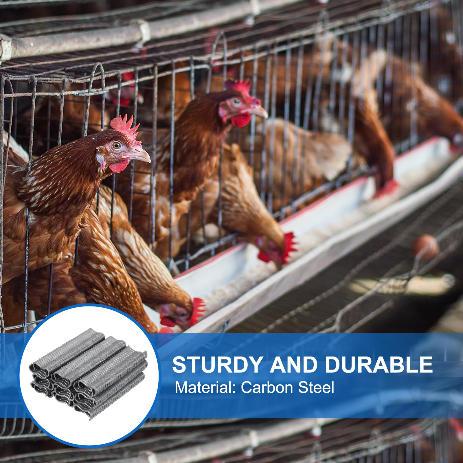 Outil de Pince à Anneau 2 Pcs et 600 Pcs Clips m pour Cage à Poulet, Clôture en Fil Métallique, Joint de Soudure