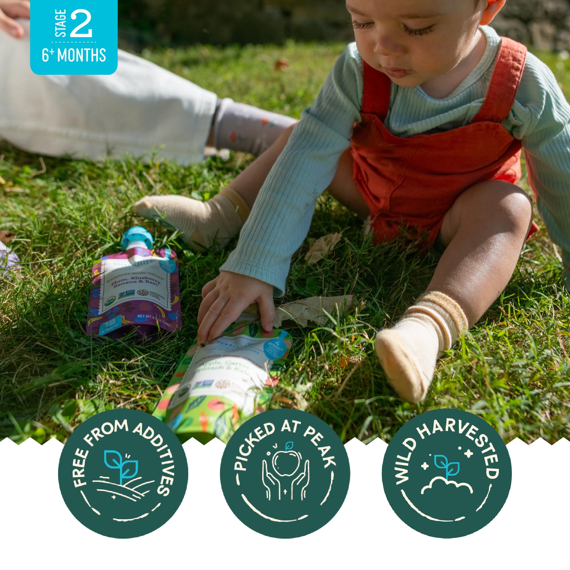 Babylife Organics Stage 2 – Heavy Metal Safe, Organic Baby Food - Apple, Carrot, Spinach & Kale, 3.5 Ounce Pouch (6 Pack)