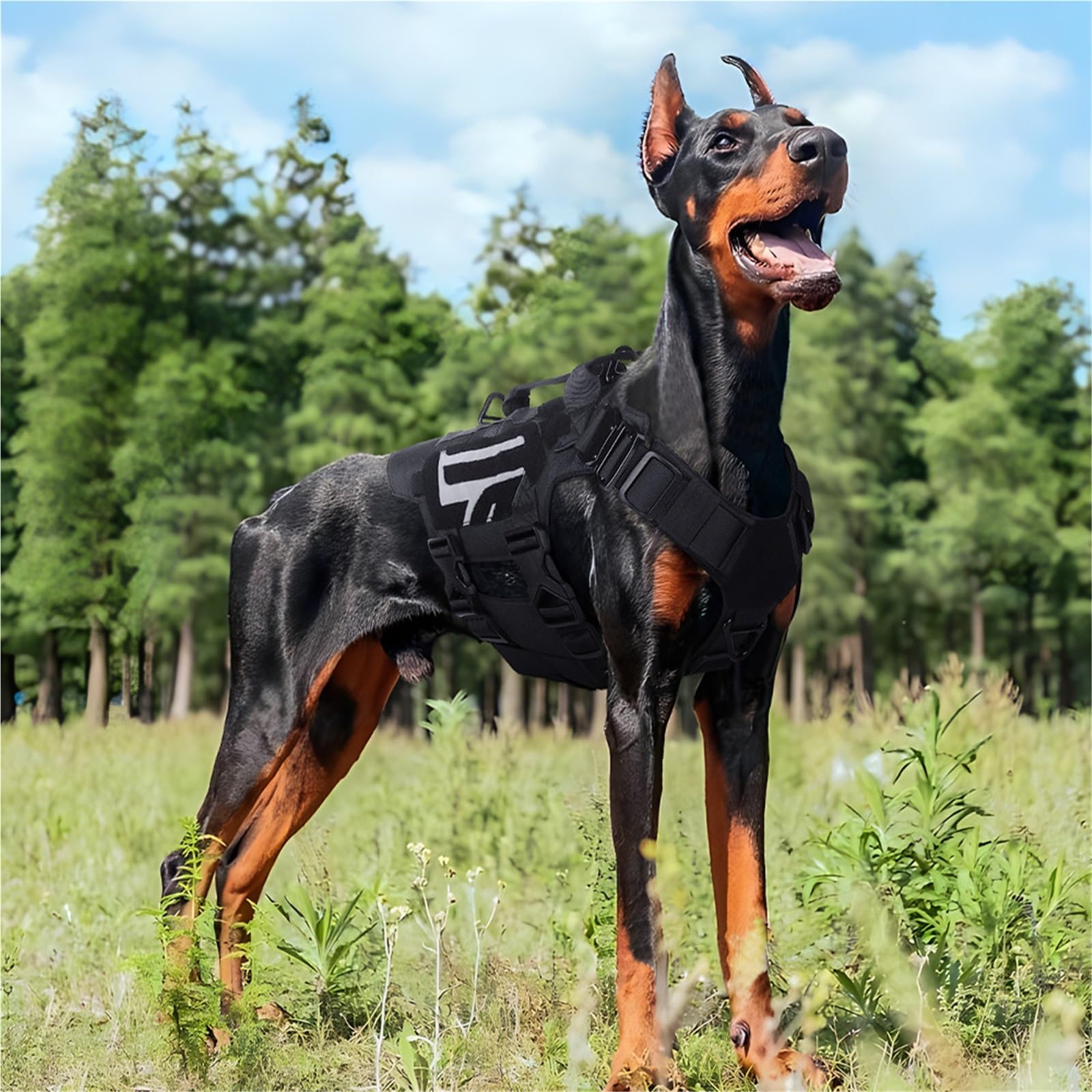 Dog Tacticals uprząż dla średnich i dużych ras - regulowana kamizelka dla zwierząt domowych z wyściełanym biustem i uchwytem (XL)