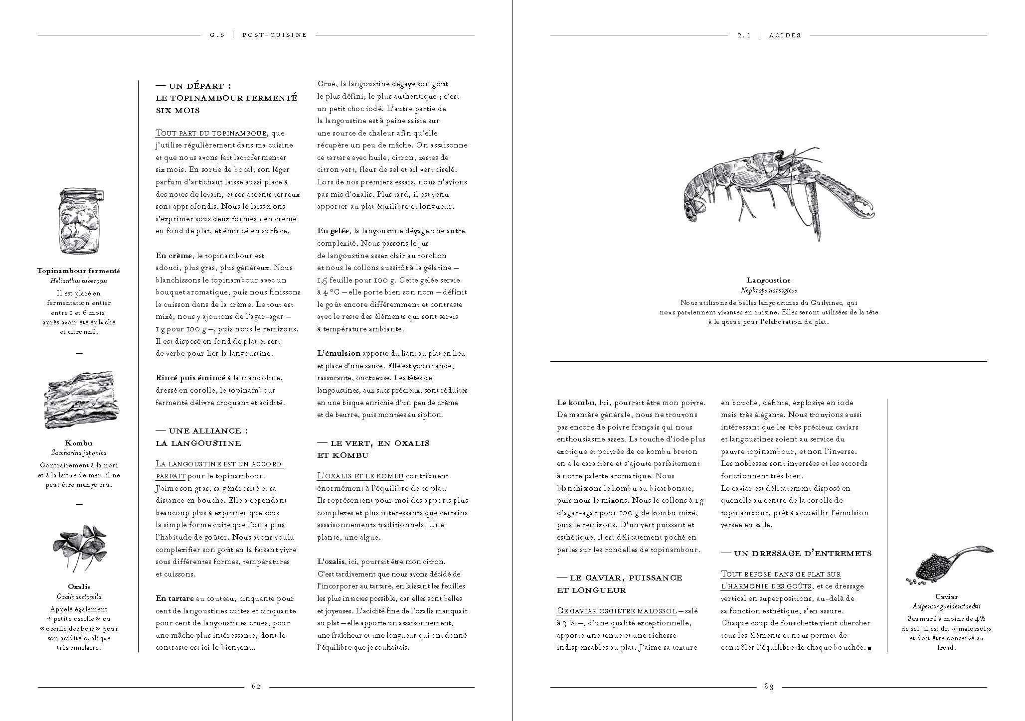 Amazon.co.jp: Guillaume Sanchez: 本、バイオグラフィー、最新