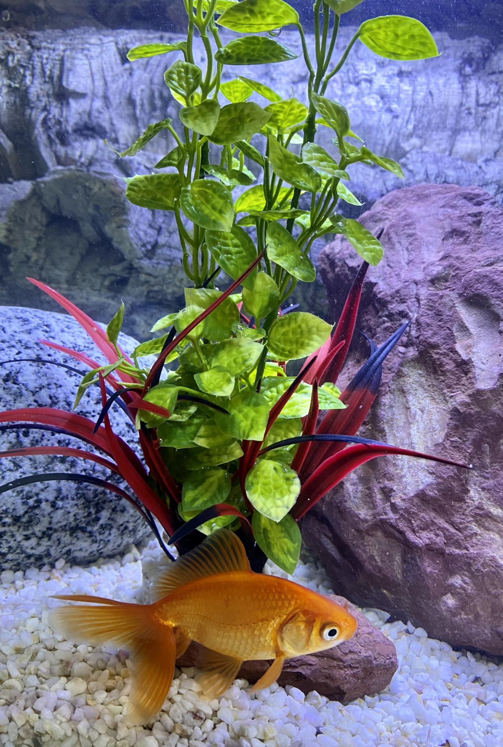 Tyrol - Plante d'Aquarium Artificielle - Décoration pour Aquarium - Plante en plastique sur Socle - Plante d'Intérieur Lotus - Ancrage Facile au fond de l'Aquarium - Fabriquée en France