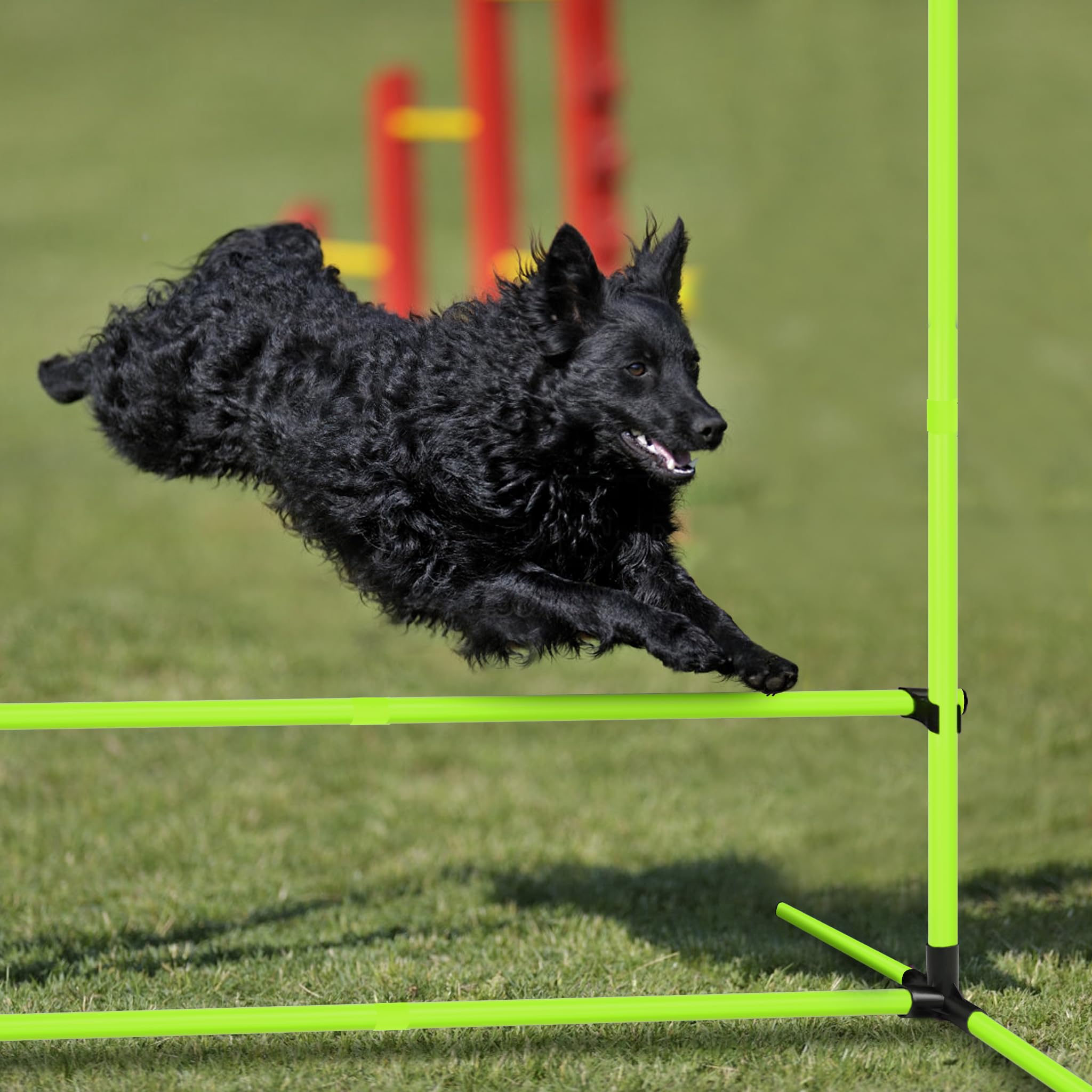 FIVMEN 4 x Agility zestaw drążków do slalomu dla psów, zestaw treningowy z regulacją wysokości, zestaw przeszkód z tworzywa sztucznego, hobby, z torbą transportową, do treningu psów, zielony