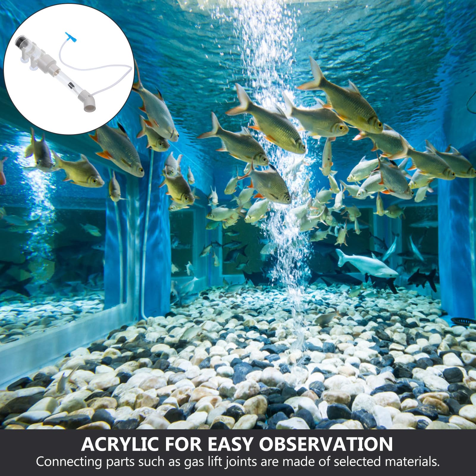 Fischzuchtröhre Acryl 40mm für Buntbarsche Maulbrüter Fischbrutapparat Aquarium Zuchtanlage Eieraufzucht Zufälliger Stil