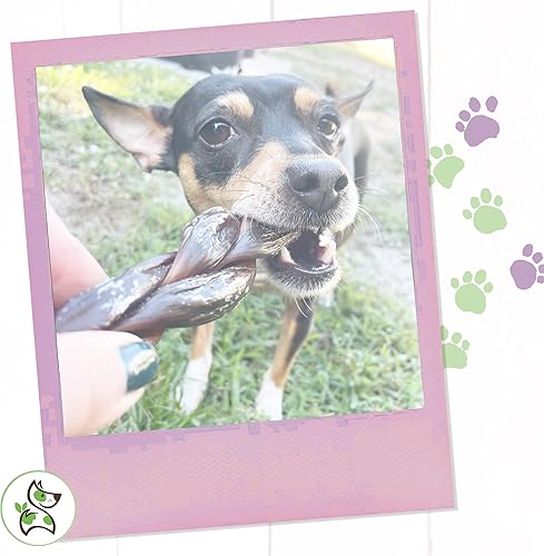 Miniatura 5 de Nature Gnaws Golosinas masticables trenzadas de carne seca para perros, palitos de gollet de carne de res naturales de primera calidad, simples de