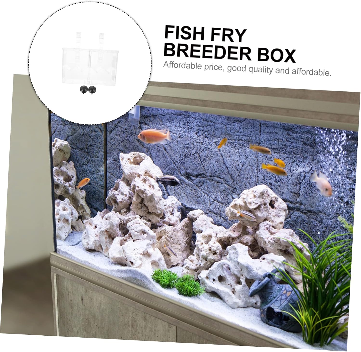 Hatching Incubator Box Aquarium Breeding Accessory Isolation Tank for Aggressive Injured Fish Plastic Material