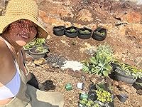 Review Image by Tristen E. Tristen E.