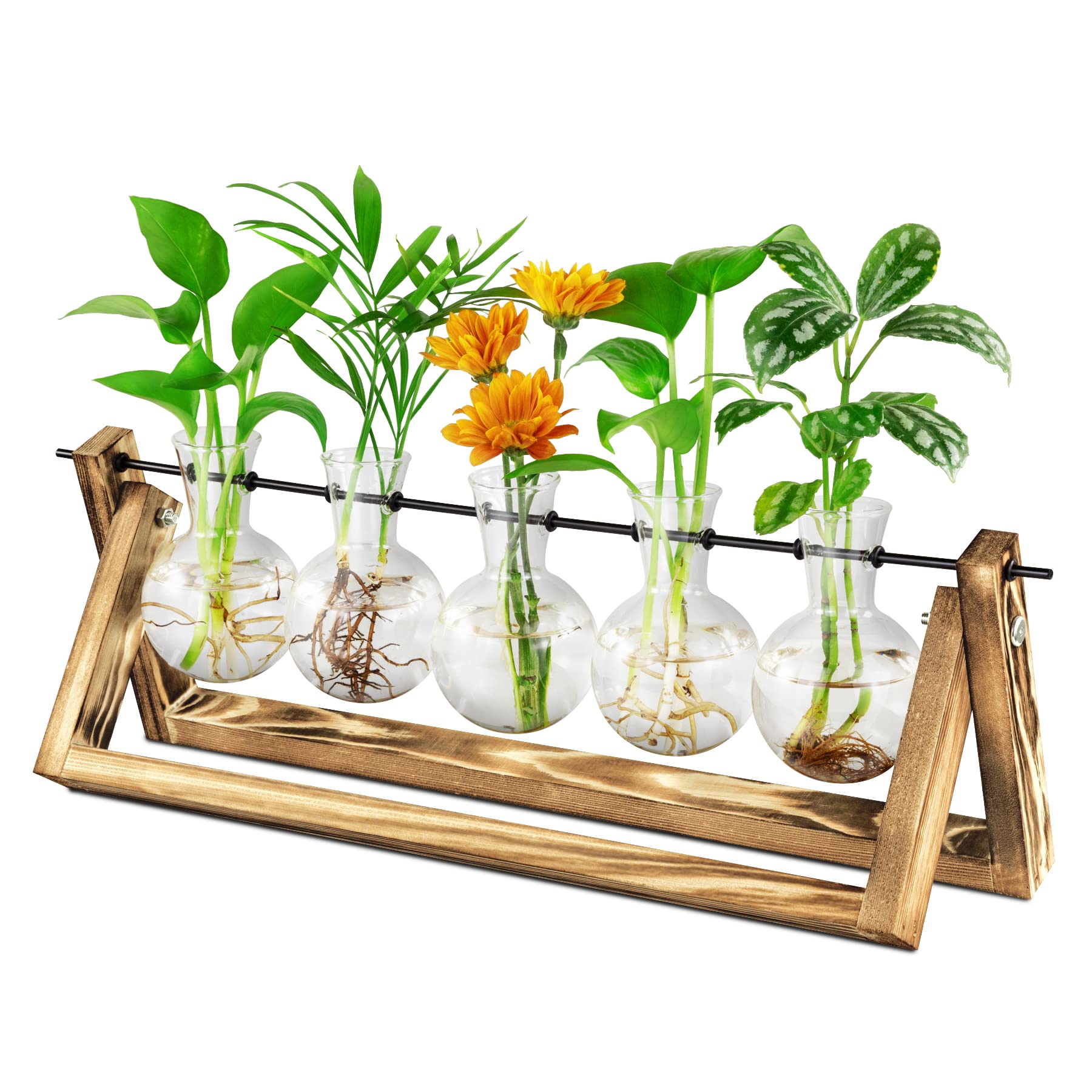 Buy Waytoeast Plant Propagation Stations, Air Plant Terrarium Bulb Vase