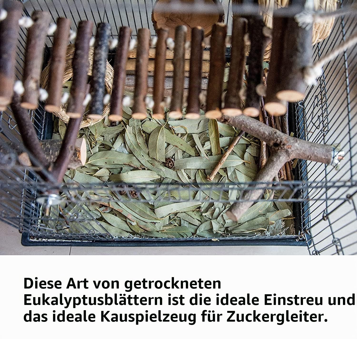 NEOUZA Sugar Glider Kleintiereinstreu, Kau-Leckereien, Backenzahnspielzeug, 200 g natürliche getrocknete Eukalyptusblätter und Zweige (200 g Eukalyptusblätter)