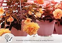 Vista 5 de Miracle LED Luz de crecimiento de espectro rojo de gran angular para múltiples plantas con un accesorio de tres enchufes (paquete de 1)