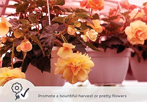 Miniatura 5 de Miracle LED Luz de crecimiento de espectro rojo de gran angular para múltiples plantas con un accesorio de tres enchufes (paquete de 1)