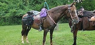 Review Image by Jennifer Jennifer