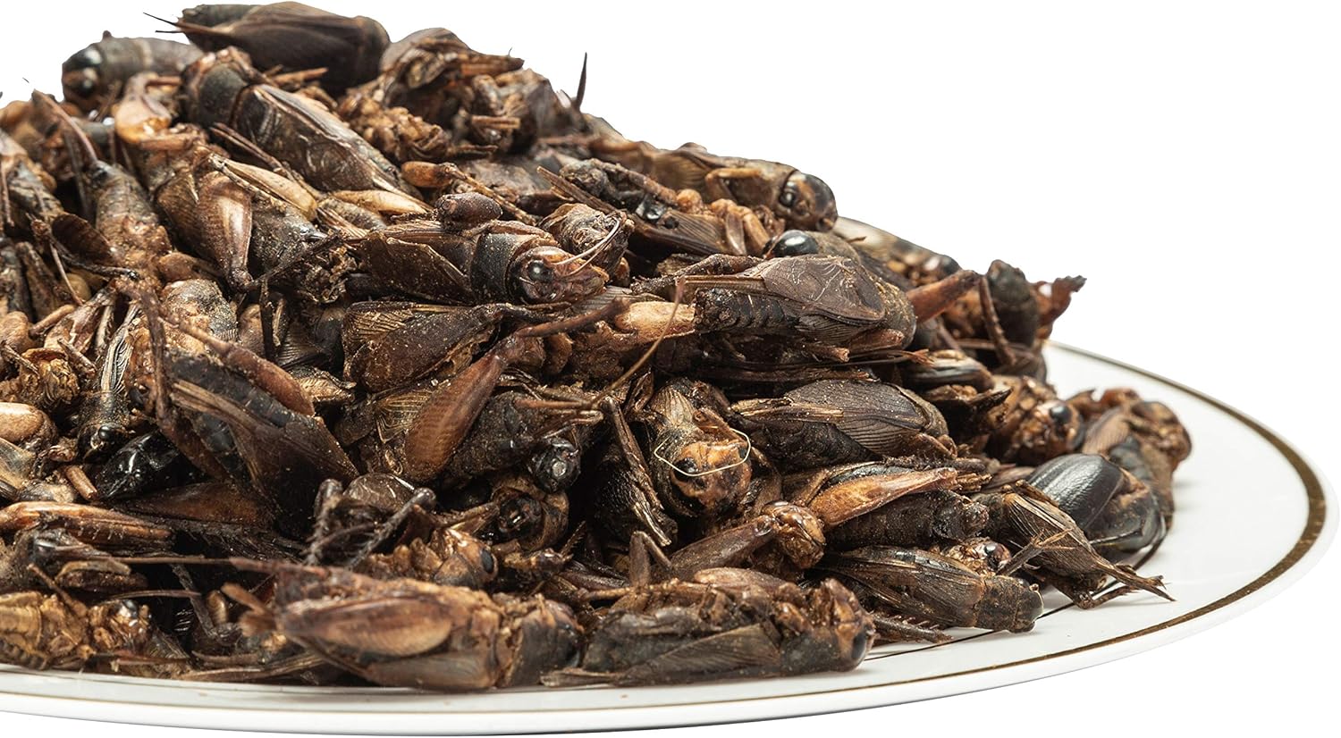 Buy Amzey Appetizing Mealworms Natural Dried Crickets Food for