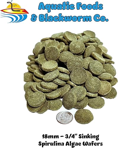 Miniatura 2 de Aquatic Foods Inc. Hundimiento de 0.709 in - 34" obleas de espirulina, algas, para peces de fondo, plecos, camarones, caracoles, cangrejos de río,