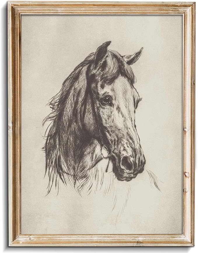 Voller Drehbuch von Dark Horse - Der schlechteste Film der Welt 9 81H8ISLEV9L. AC SX679 uniro Vintage Horse Etching Sketch Equestrian Retro Wall Art Print Farmhouse Animal Farm Drawing Horse Lover Gift Cottagecore Decor Minimalist Mid Century French Country Room Decor (8 x 10-UNFRAMED)